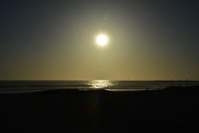 DSC_7238 (Large).JPG